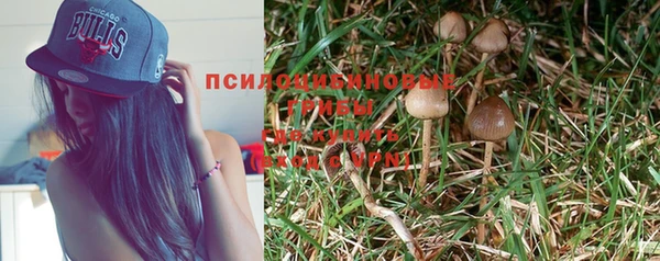 гидропоника Абинск