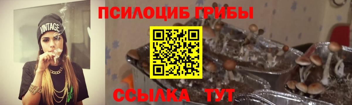 Псилоцибиновые грибы Magic Shrooms  Галлюциногенные грибы прущие грибы  Вход с VPN  Калининград 