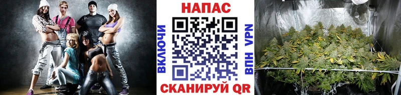 Конопля тримм  Калининград 